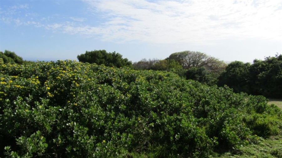 0 Bedroom Property for Sale in Oyster Bay Eastern Cape